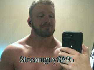 Streamguy8895