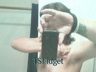 TSFidget