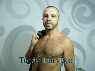 TeddyHairyBear