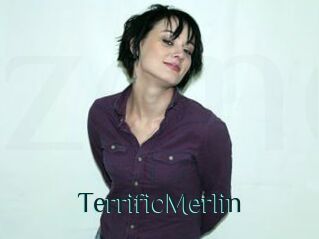 TerrificMerlin