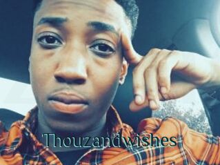 Thouzandwishes