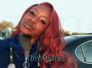 TinyAndrea