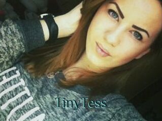 TinyTess