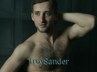 TroySander