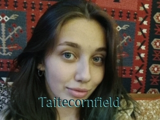 Taitecornfield