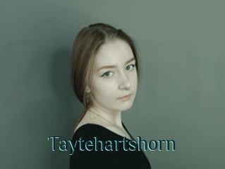 Taytehartshorn