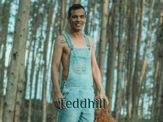 Teddhill