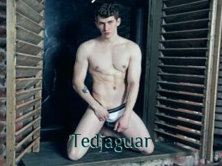 Tedjaguar