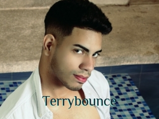 Terrybounce