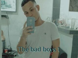 The_bad_boys_1