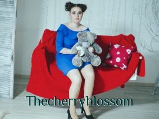 Thecherryblossom
