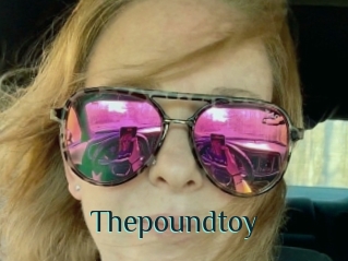 Thepoundtoy