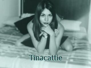 Tinacattie
