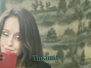 Tinamit