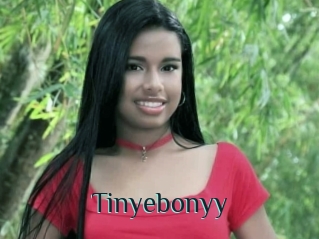 Tinyebonyy