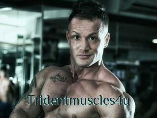 Tridentmuscles4u