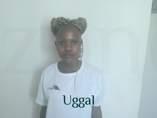 Uggal