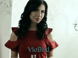 VioBird