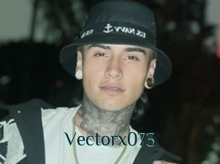 Vectorx073