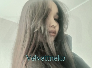 Velvettneko