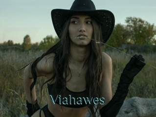 Viahawes