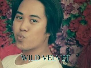 WILD_VELVET
