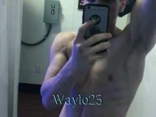 Waylo23