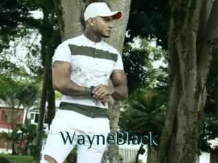 WayneBlack