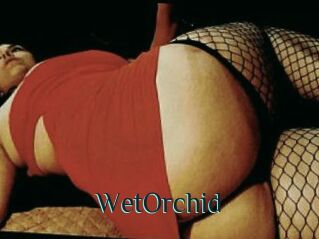 WetOrchid