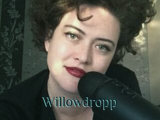Willowdropp