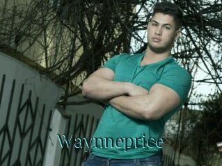 Waynneprice