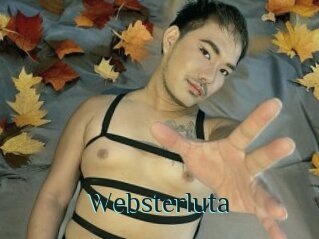 Websterluta