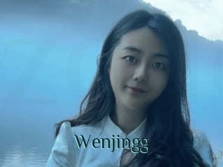 Wenjingg