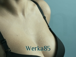 Werka85