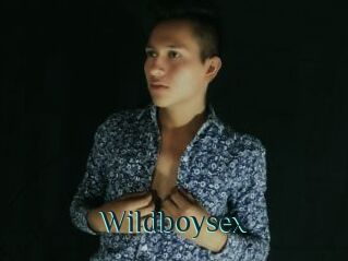 Wildboysex