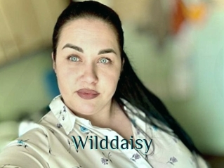 Wilddaisy