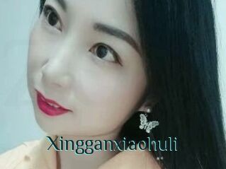 Xingganxiaohuli