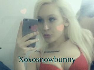 Xoxosnowbunny