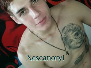 Xescanory1