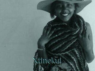 Xtinekui