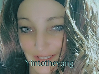 Yintotheyang