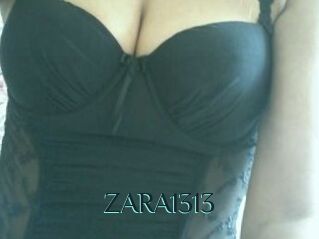 ZARA1313
