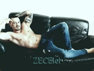 ZECElei