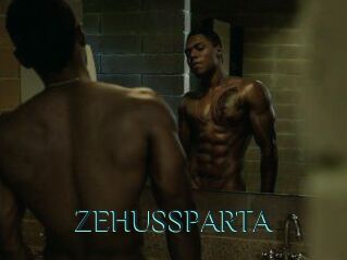 ZEHUS_SPARTA