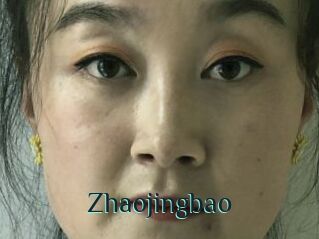 Zhaojingbao