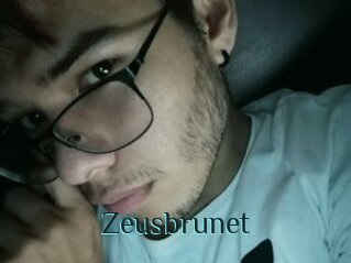 Zeusbrunet