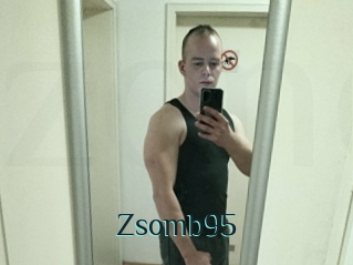 Zsomb95